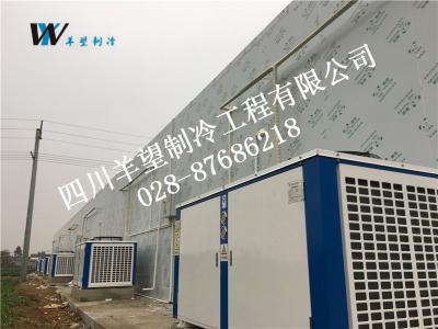 青白江玉虹水產養殖 保鮮庫 